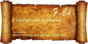 Fischgrund Csongor névjegykártya